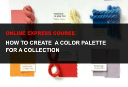 course how to create a color palette  for a collection